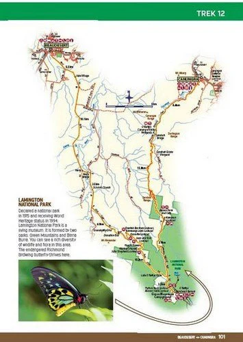4WD Treks Close to Brisbane - Image 4