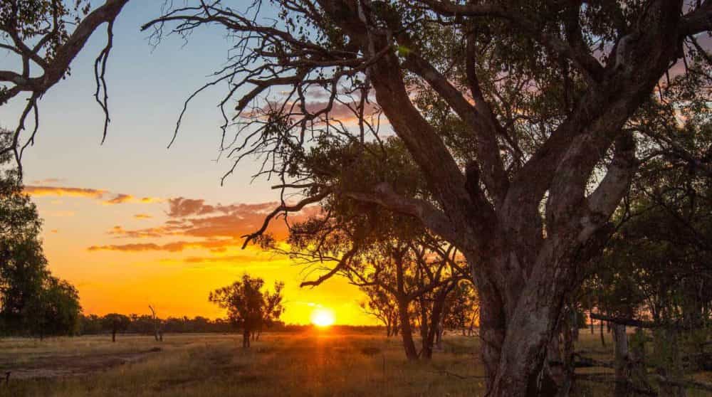 Australian Geographic Travel Guide : Outback Queensland - Image 12