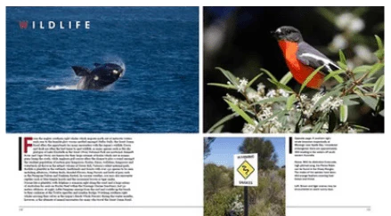 Magnificent Great Ocean Road - Image 4